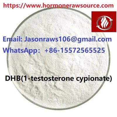 DHB (1-testosteron Cypionate) prah za bodibilding CAS:65-06-5