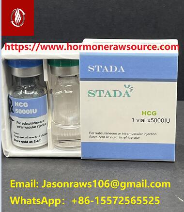 STADA ljudski horionski gonadotropin (HCG5000iu) za bodibilding CAS:9002-61-3