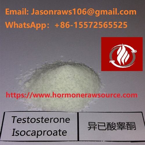 Testosteron Isocaproate Sirovina u prahu za Bodybuilding CAS:15262-86-9